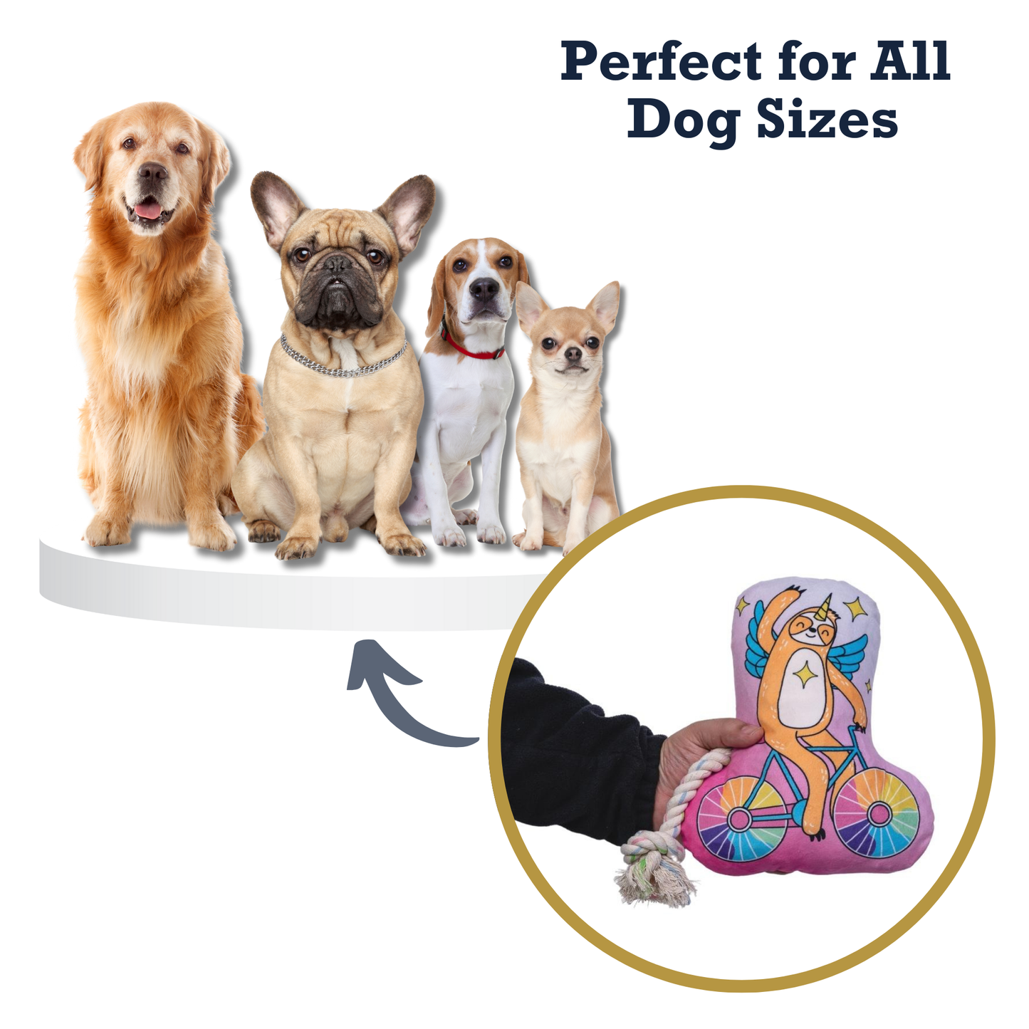 Slow Biker Plush Dog Toy – with Squeaker & Crinkle Paper for Fun Play - Tampa Home & Garden Store