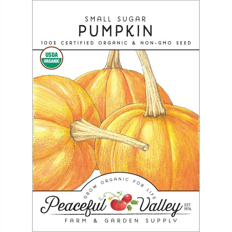 Small Sugar Pumpkin Seeds (Organic) - Tampa Home & Garden Store