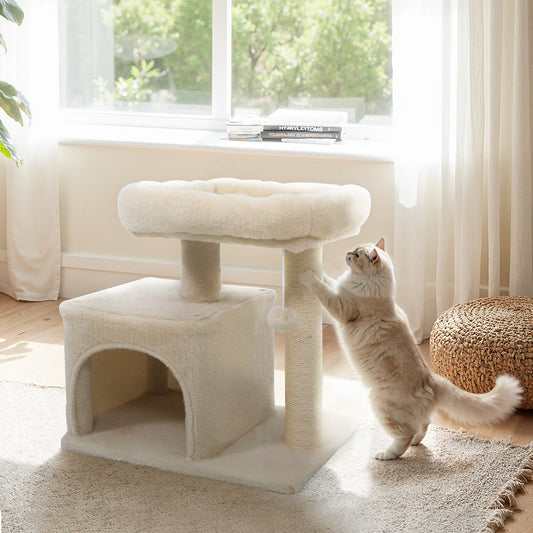 Small Cat Tree with Large Padded Plush Perch for Indoor Cats - Tampa Home & Garden Store