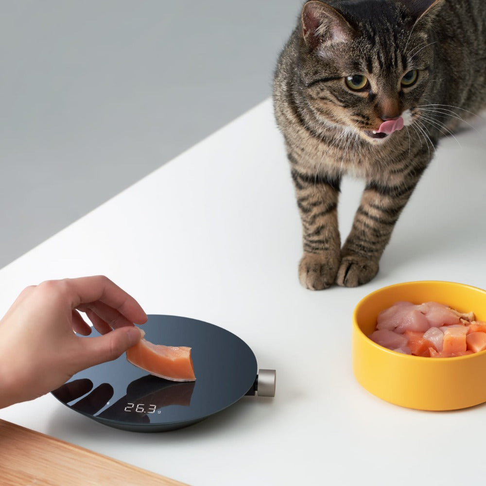 Smart Kitchen Scale - Tampa Home & Garden Store