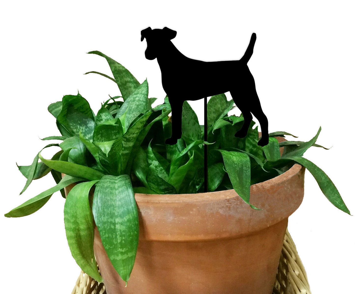 Smooth Fox Terrier Plant Stake, black metal silhouette on terracotta pot Rustica Ornamentals on Tampa Home & Garden Store
