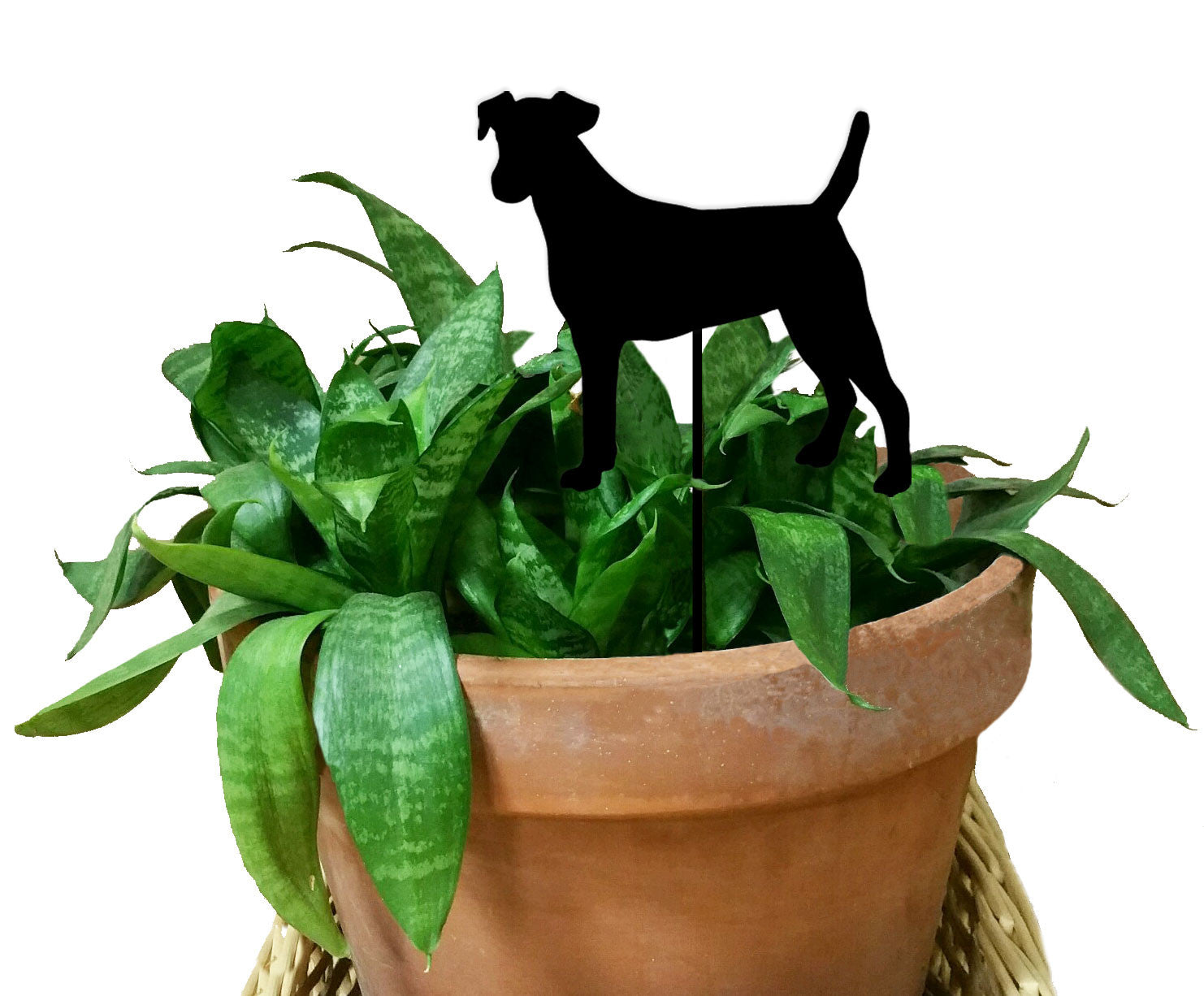 Smooth Fox Terrier Plant Stake, black metal silhouette on terracotta pot Rustica Ornamentals on Tampa Home & Garden Store