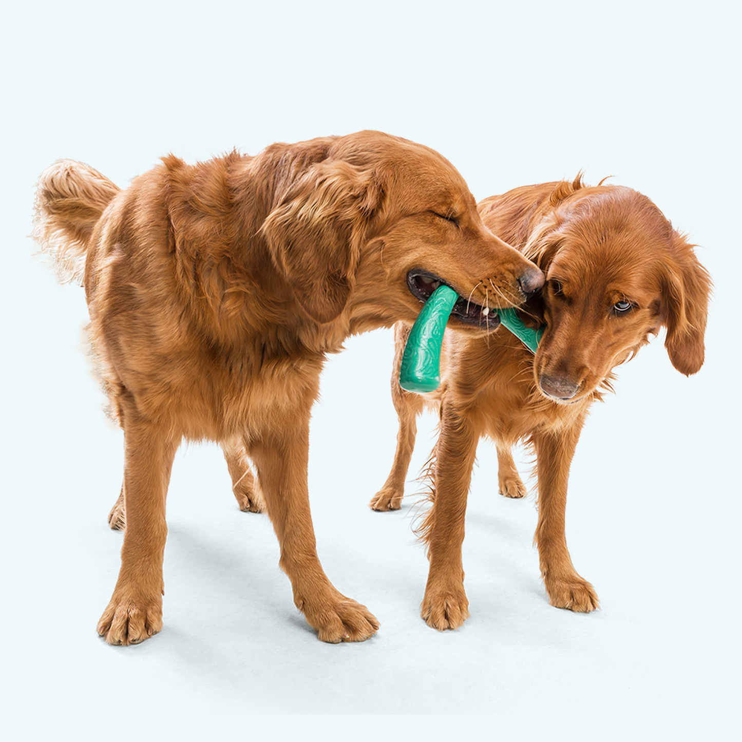 Snorkl Tug Toy for Moderate Chewers and Play