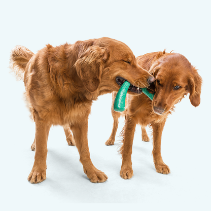 Snorkl Tug Toy for Moderate Chewers and Play