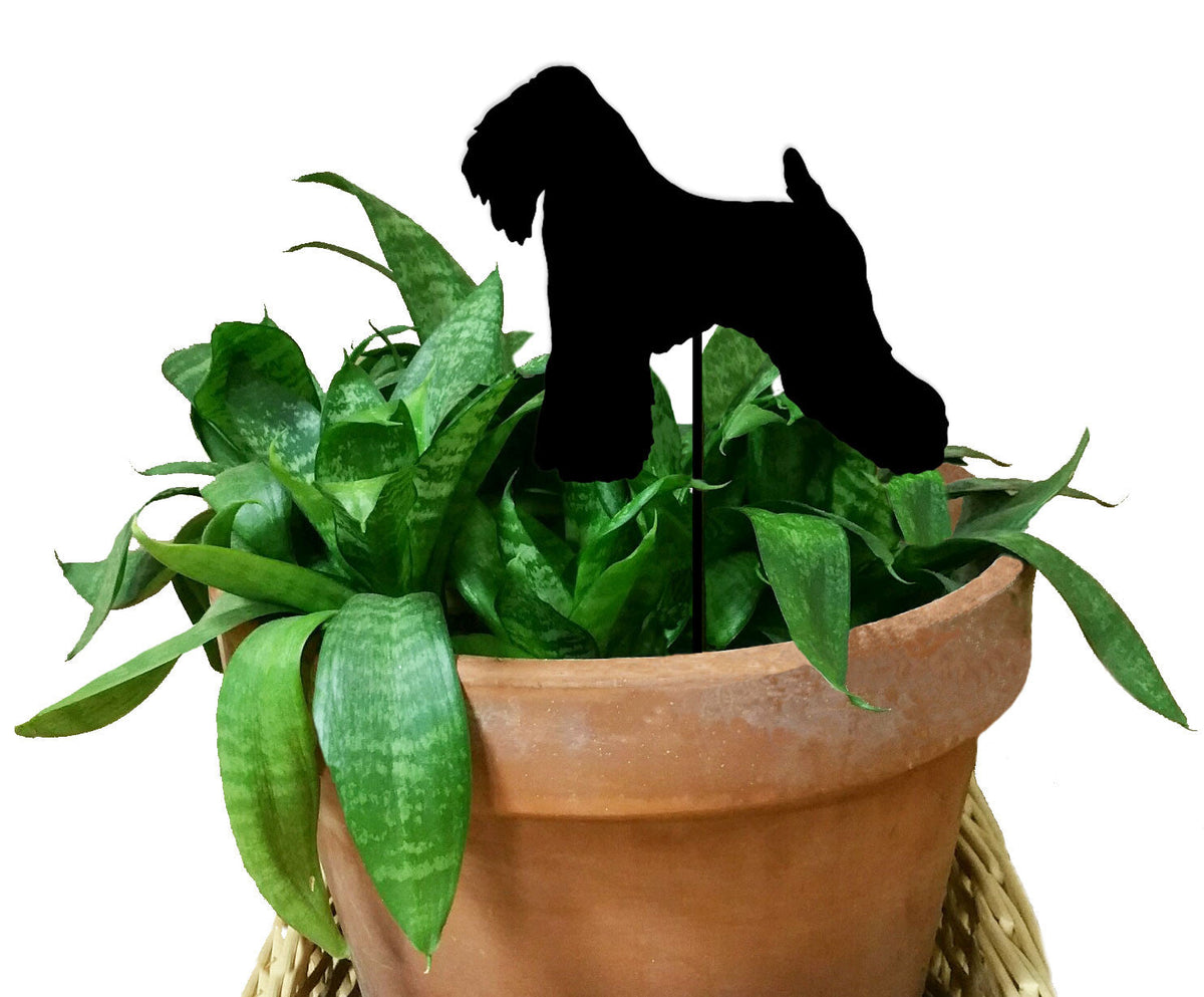 Soft Coated Wheaten Terrier Plant Stake by Rustica Ornamentals in black terracotta pot on Tampa Home & Garden Store