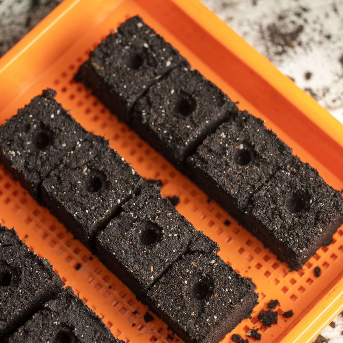 Soil Blocking Starter Kit - Tampa Home & Garden Store