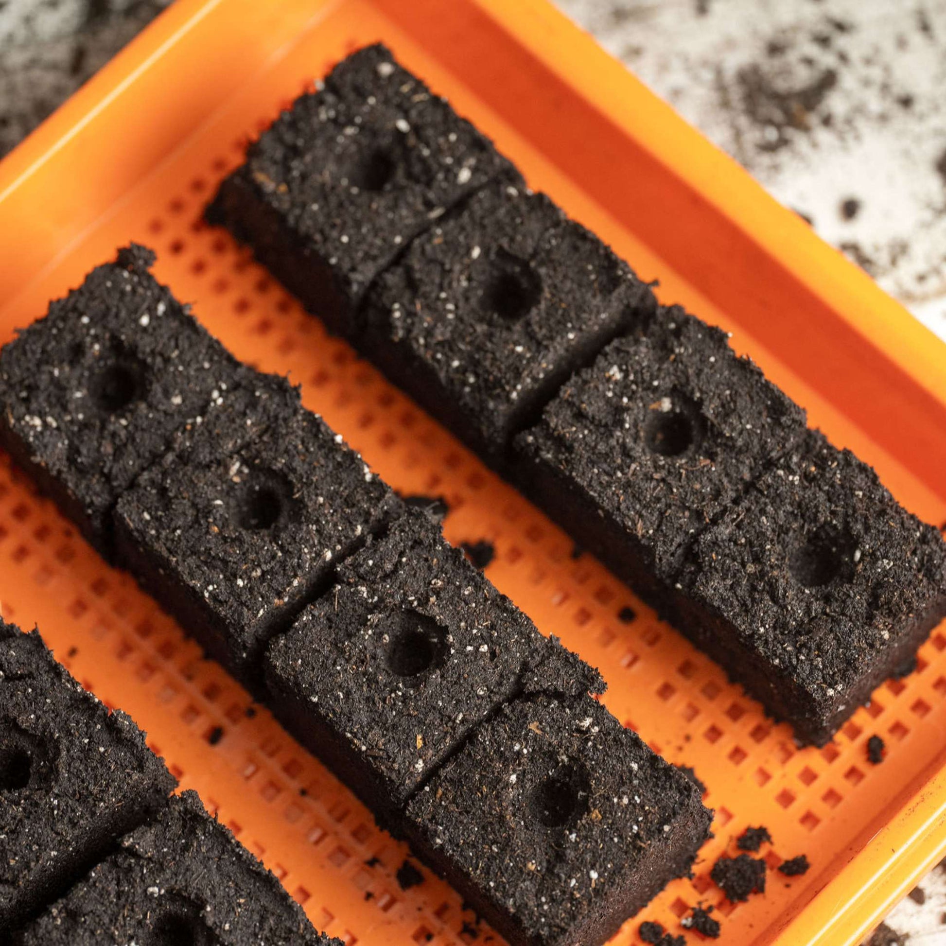 Soil Blocking Starter Kit - Tampa Home & Garden Store