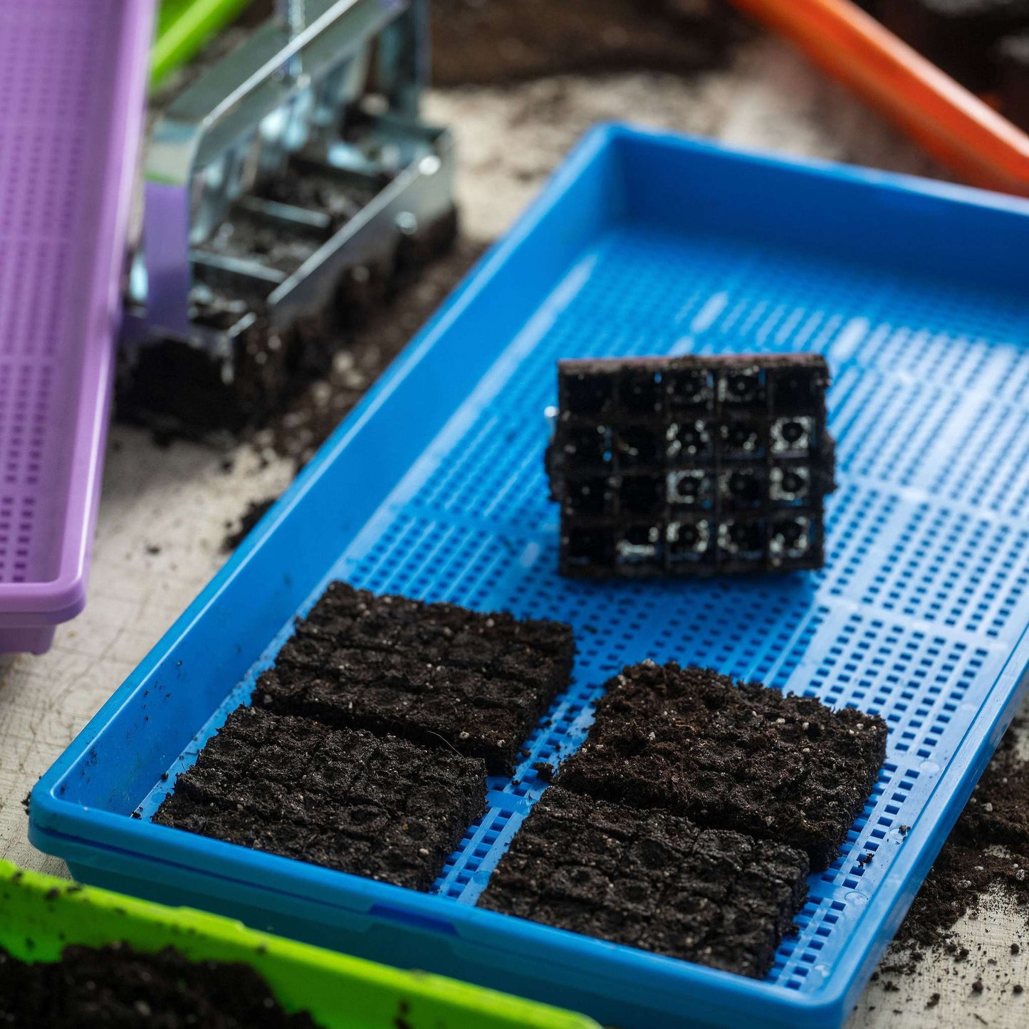 Soil Blocking Starter Kit - Tampa Home & Garden Store