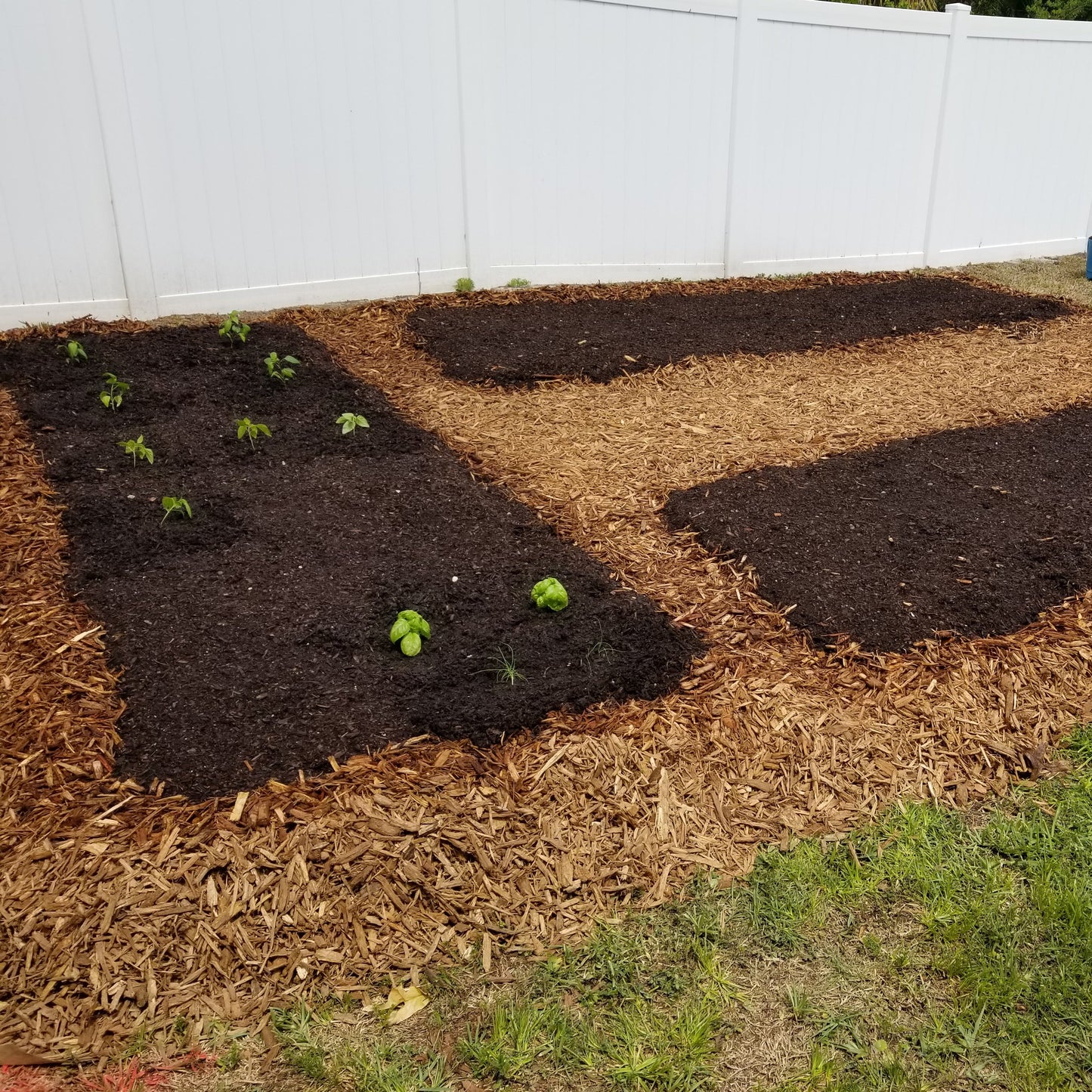 Garden beds made from a bulk soil and mulch delivery near me in the Tampa region.