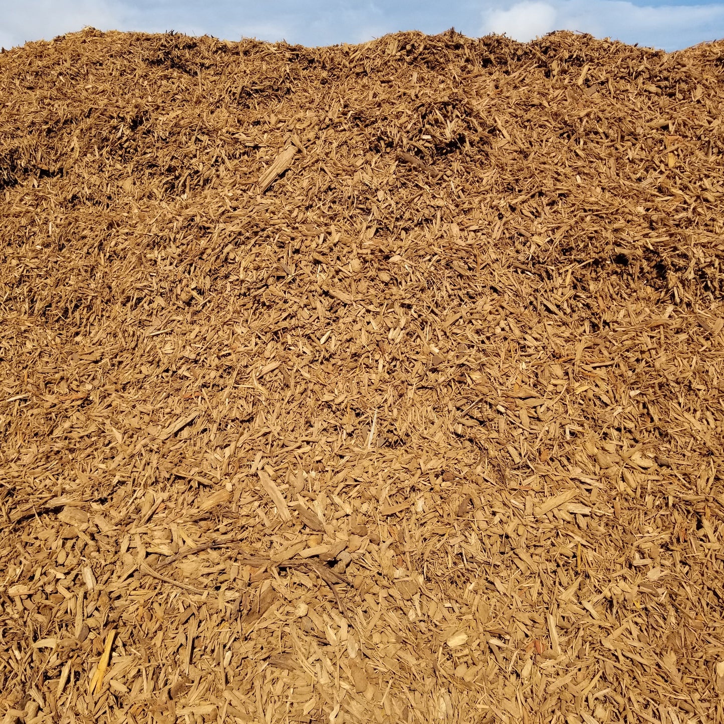 Soil and mulch delivered in separate piles. Mulch shown here.