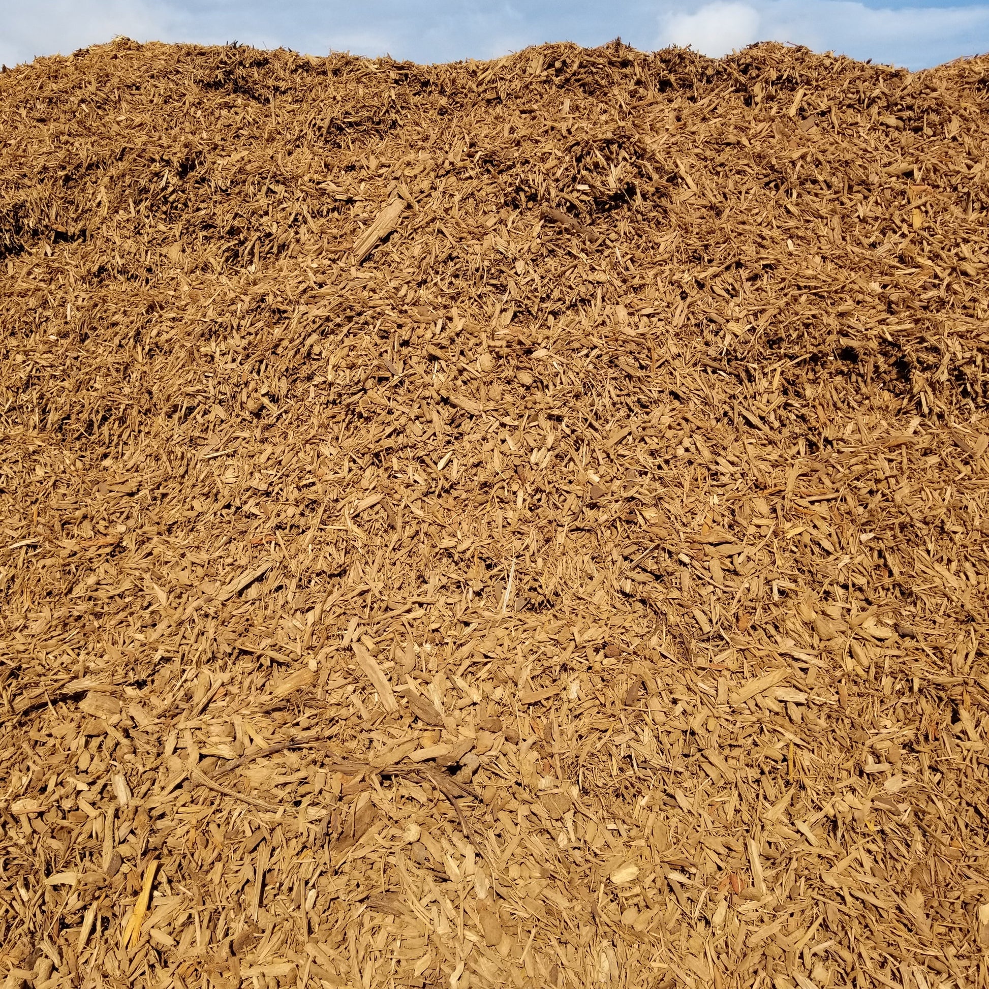 Soil and mulch delivered in separate piles. Mulch shown here.