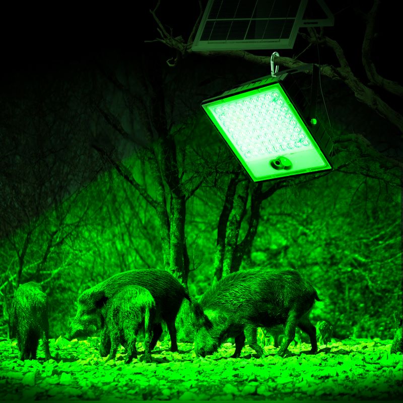 Solar Green Floodlight for Night Hunting -10,000 lumens - Tampa Home & Garden Store