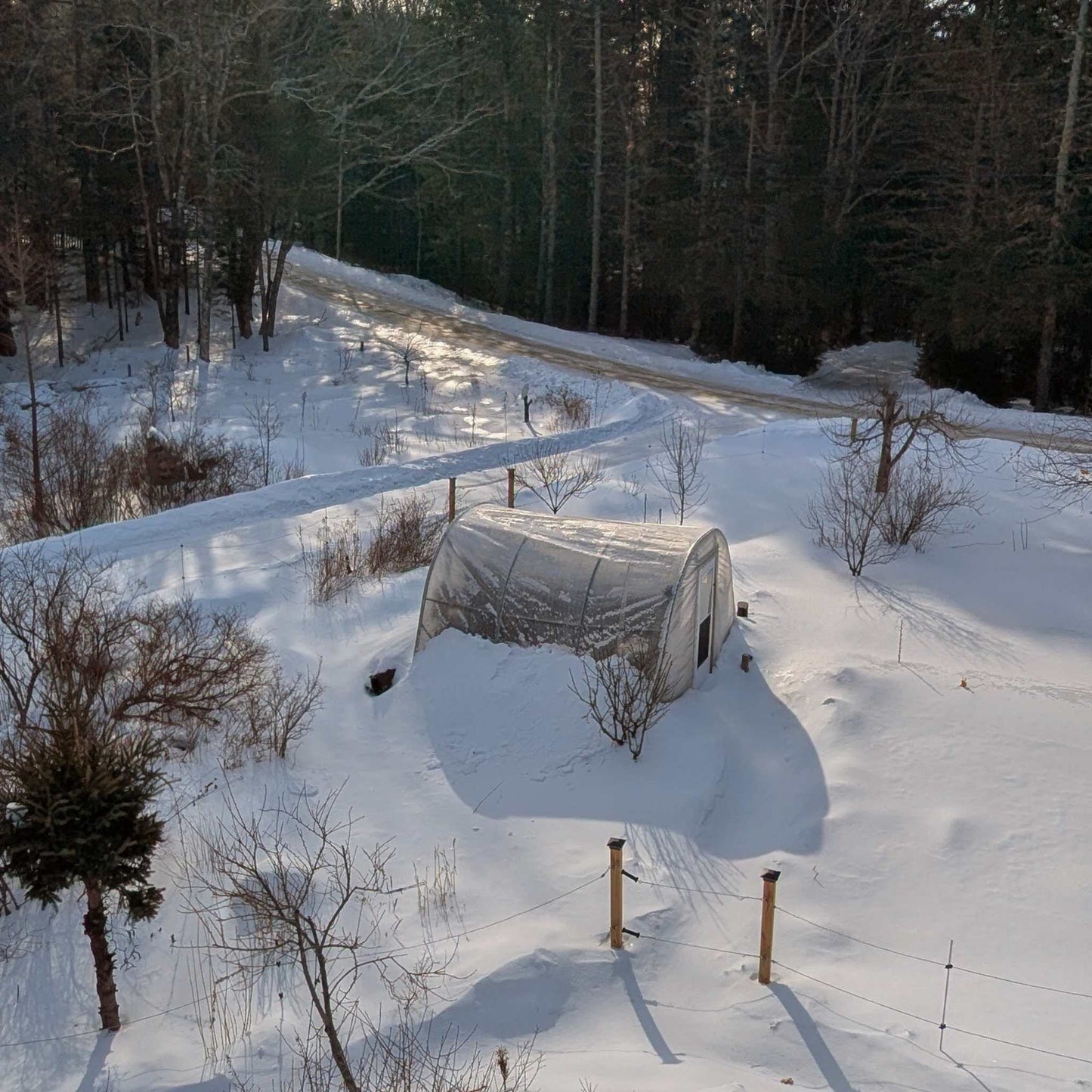 Greenhouse Woven Plastic 8 mil- Solarig 156