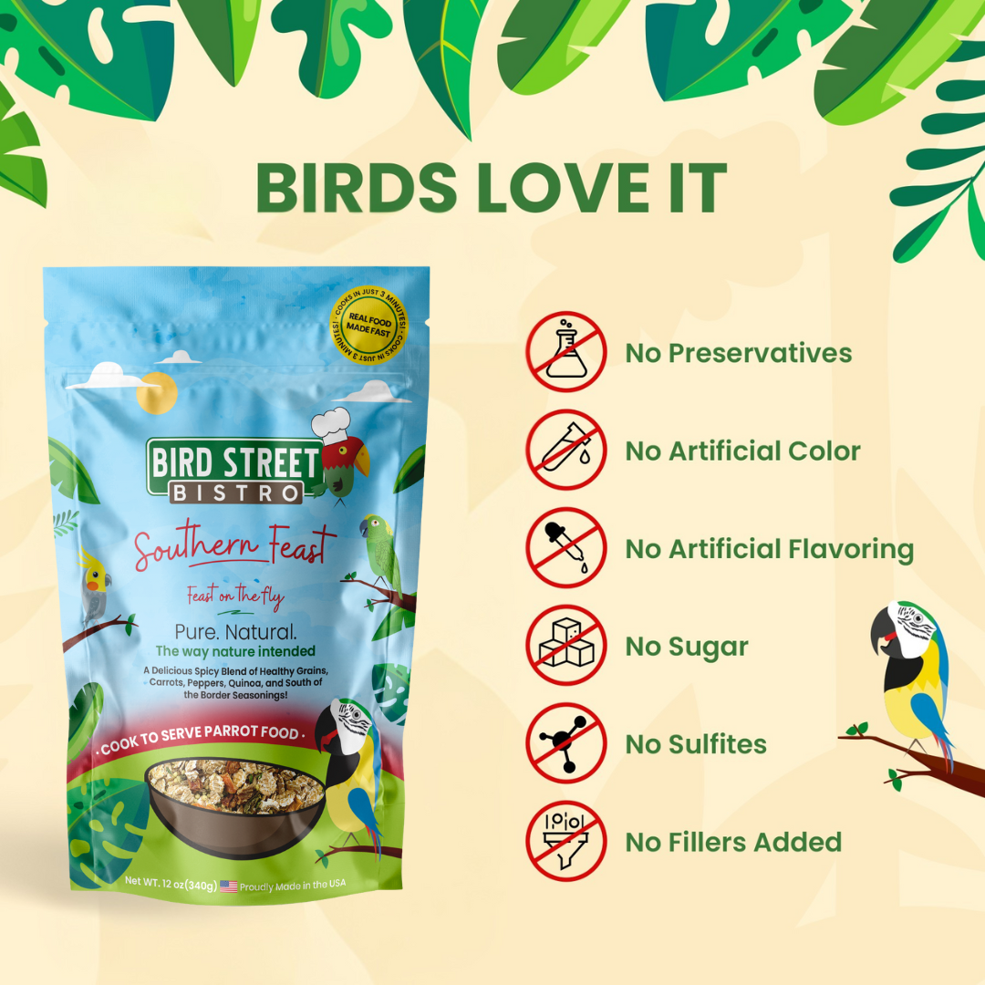 Southern Feast - Tampa Home & Garden Store