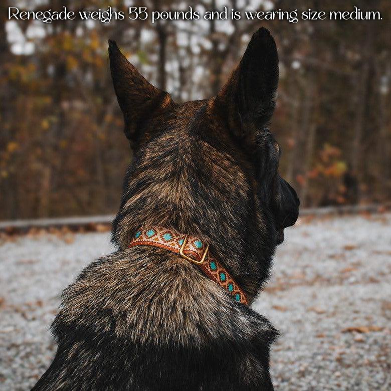 Southwest Spirit Collar - Tampa Home & Garden Store