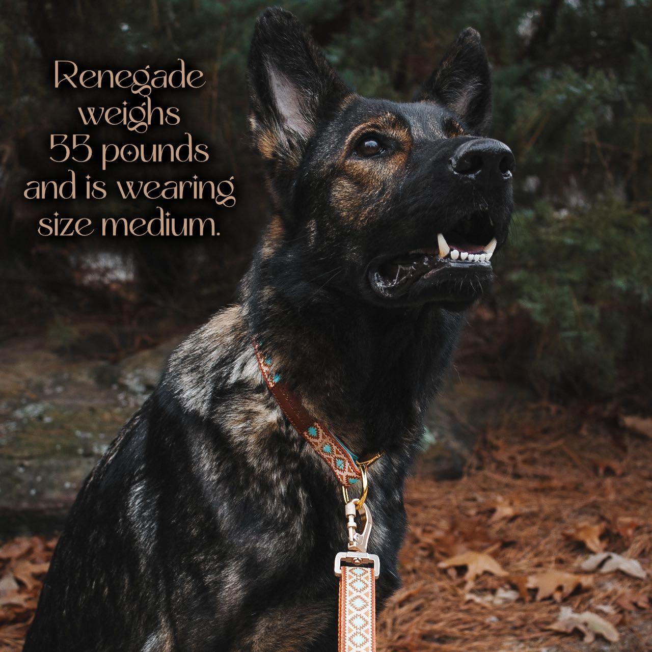 Southwest Spirit Collar - Tampa Home & Garden Store