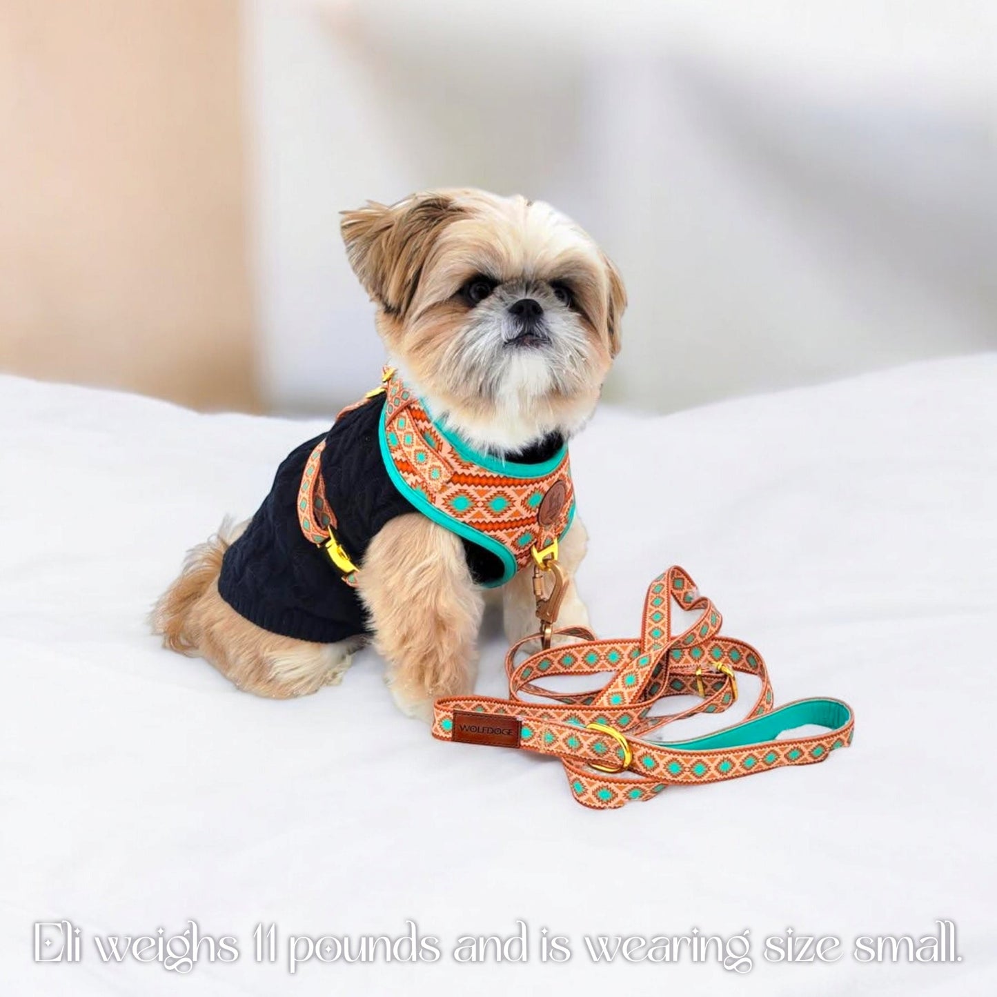 Southwest Spirit Harness - Tampa Home & Garden Store