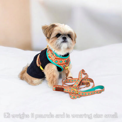 Southwest Spirit Harness - Tampa Home & Garden Store