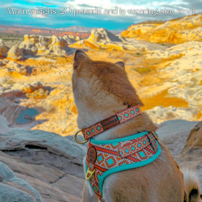 Southwest Spirit Harness - Tampa Home & Garden Store