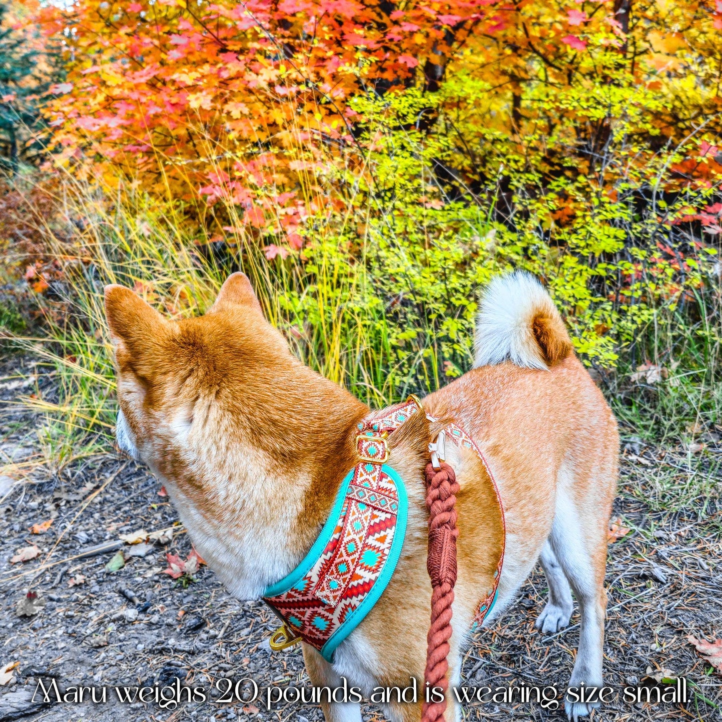 Southwest Spirit Harness - Tampa Home & Garden Store