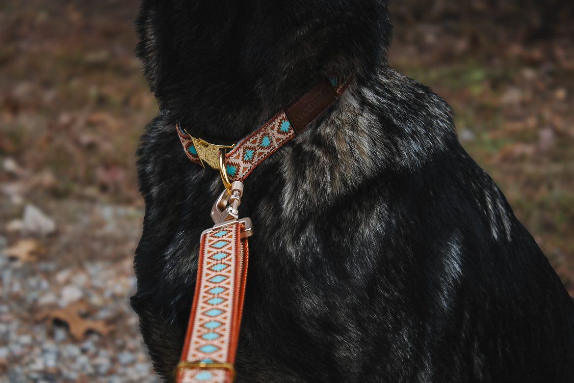 Southwest Spirit Leash - Tampa Home & Garden Store