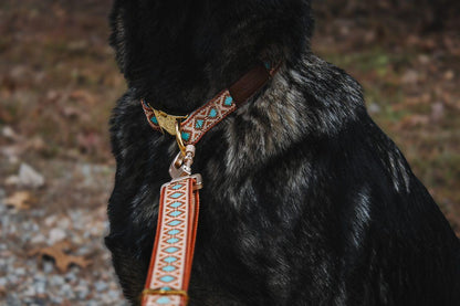 Southwest Spirit Leash - Tampa Home & Garden Store