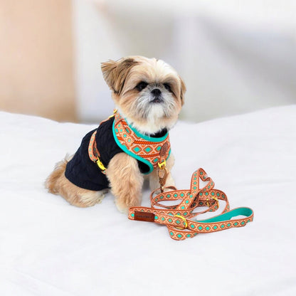 Southwest Spirit Leash - Tampa Home & Garden Store