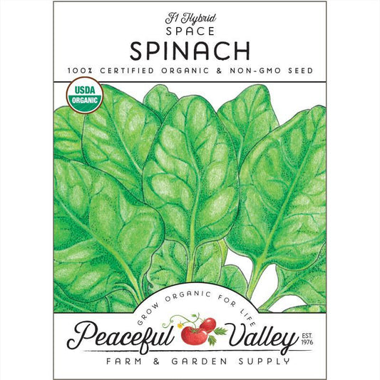 Space Spinach Seeds (Organic) - Tampa Home & Garden Store