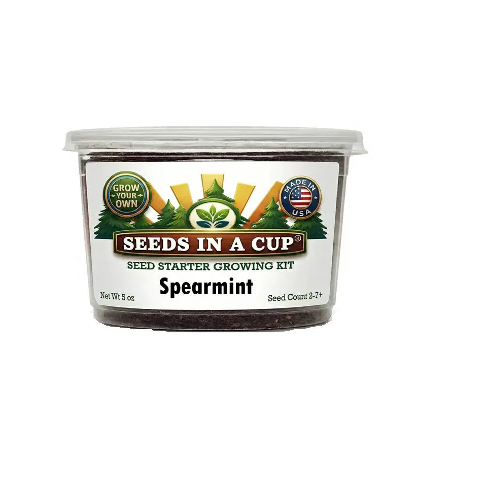 Spearmint Grow Kit - Tampa Home & Garden Store
