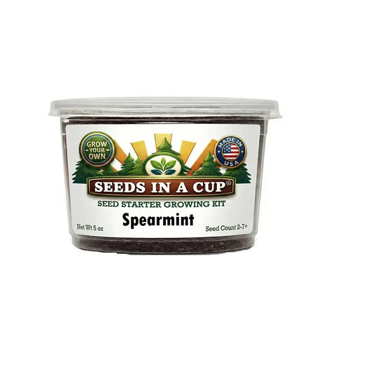 Spearmint Grow Kit - Tampa Home & Garden Store