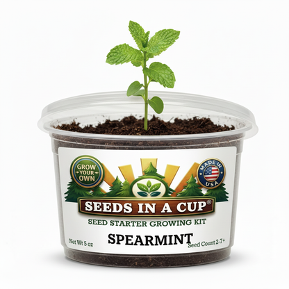 Spearmint Grow Kit - Tampa Home & Garden Store