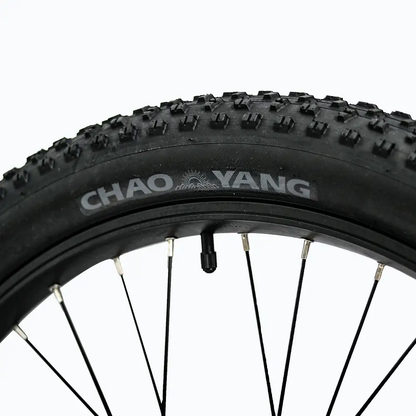 27.5*3'' wheel set for SPECTER-S with CHAO YANG knobby tire, black rim and spokes on Tampa Home & Garden Store