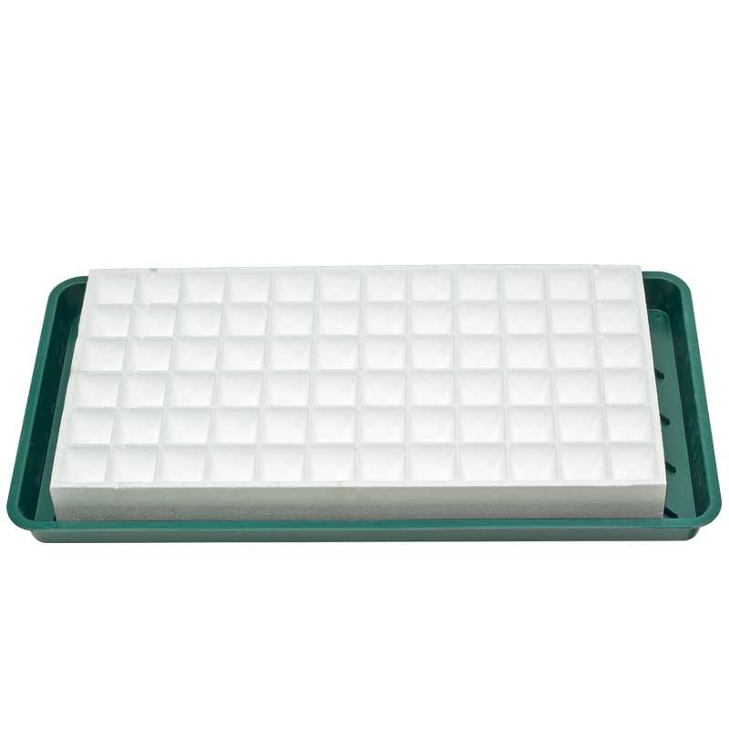Speedling - Drain Tray - Tampa Home & Garden Store