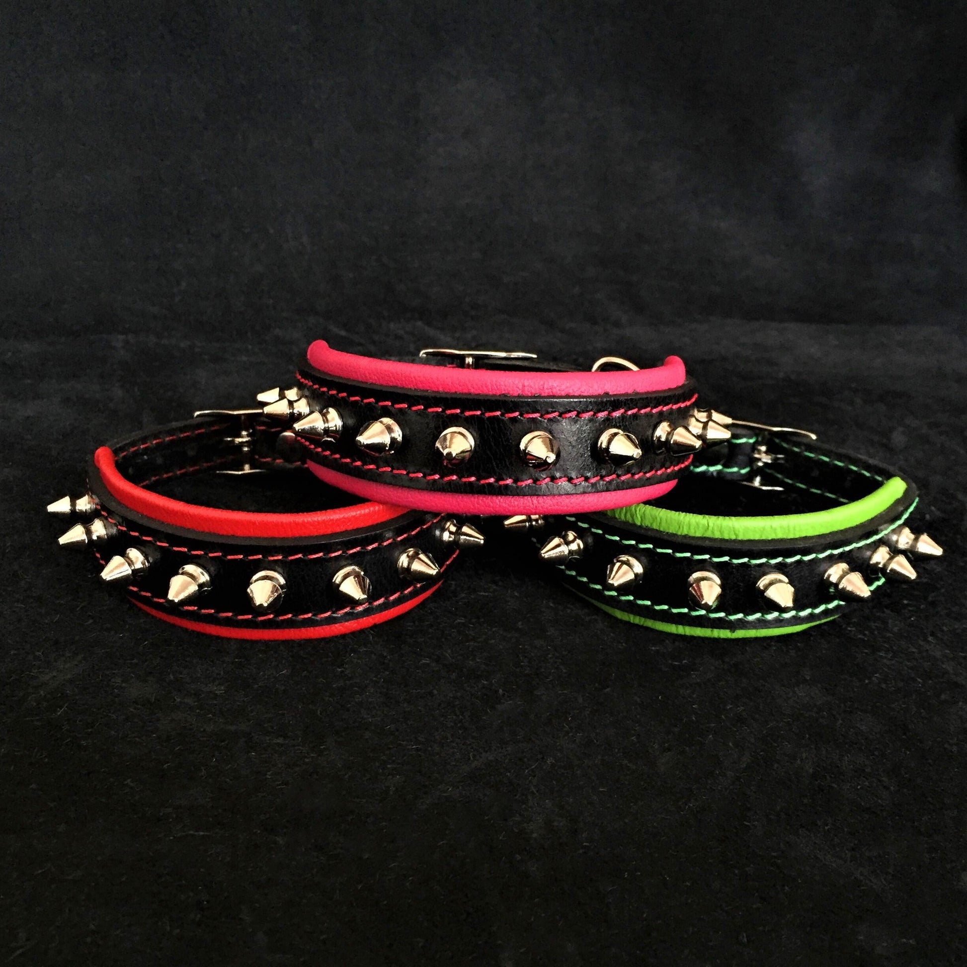 "Spiky" collar - Tampa Home & Garden Store