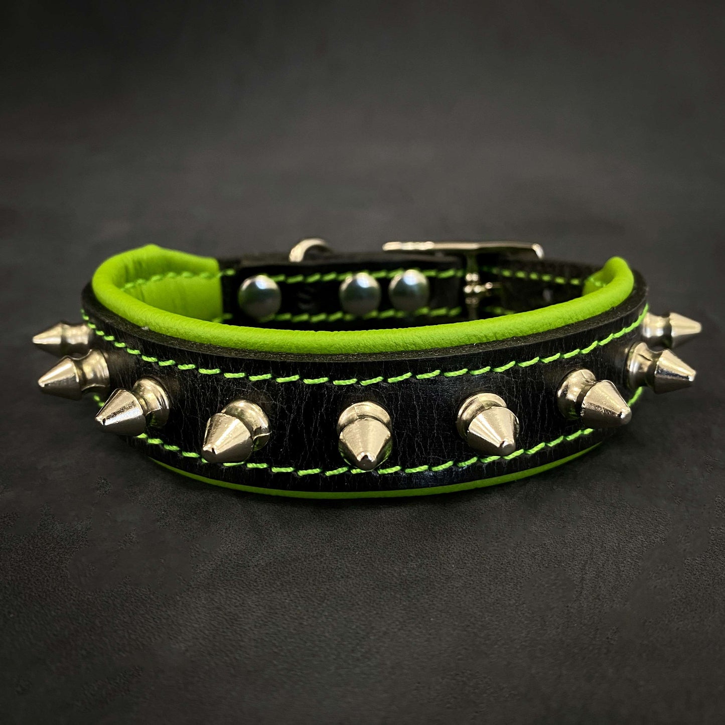 "Spiky" collar - Tampa Home & Garden Store