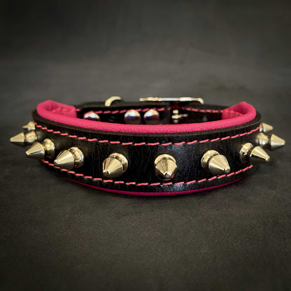 "Spiky" collar - Tampa Home & Garden Store