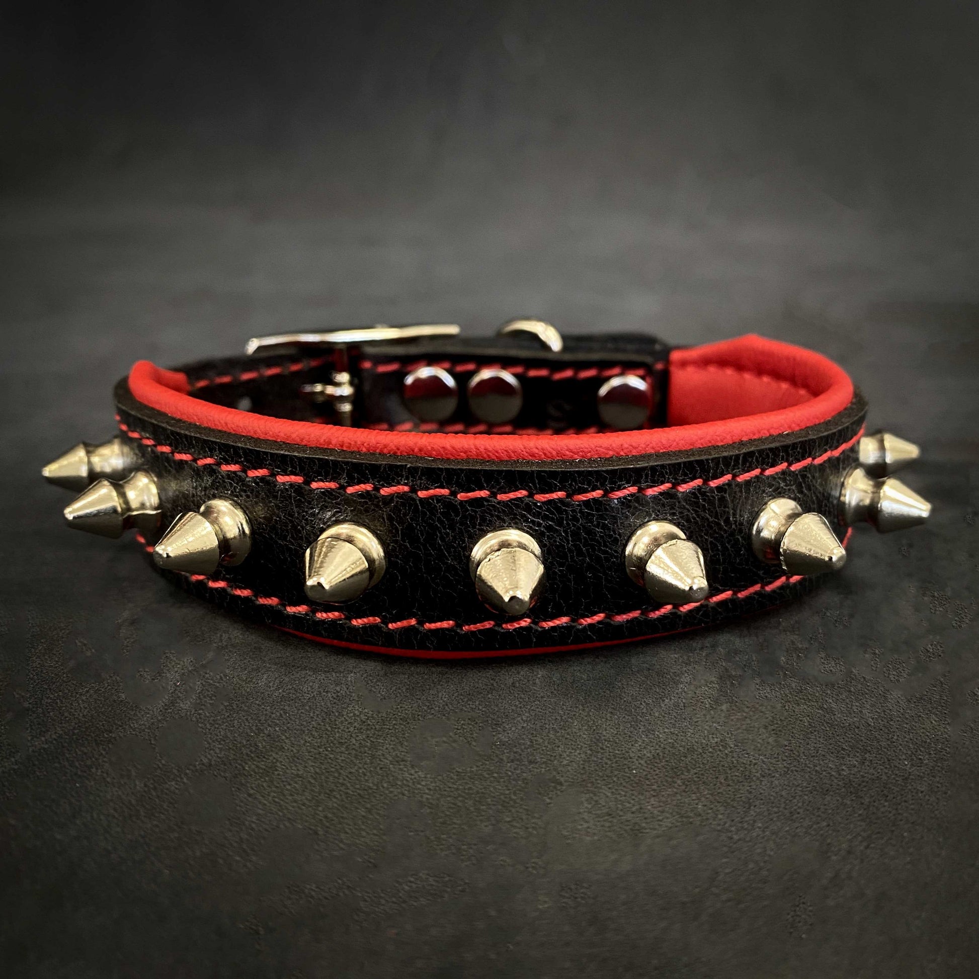 "Spiky" collar - Tampa Home & Garden Store