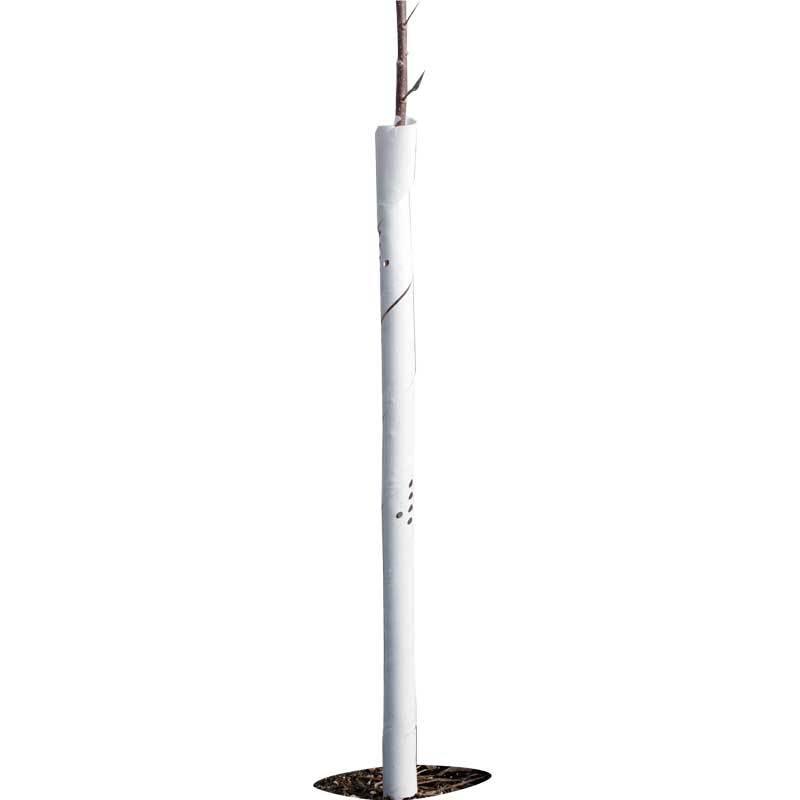 Spiral Tree Guards - 24" (Pack of 5) - Tampa Home & Garden Store