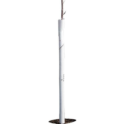 Spiral Tree Guards - 24" (Pack of 5) - Tampa Home & Garden Store