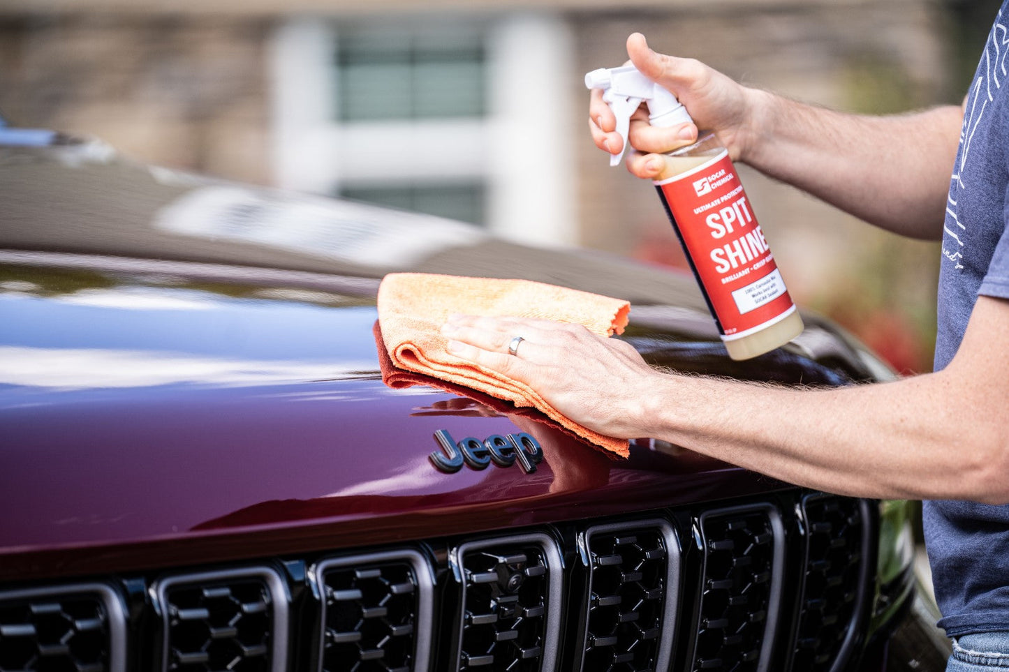 Spit Shine - Cera en spray de carnauba