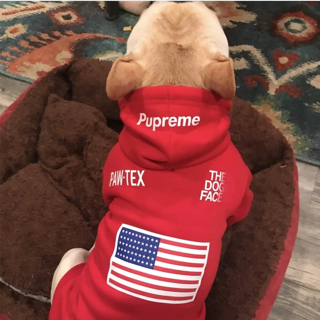 Sport Retro Hoodies Pet Clothes S-XXL - Tampa Home & Garden Store