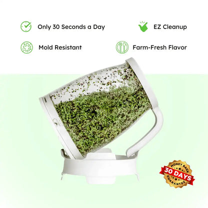 Kit de démarrage pour brocolis Sprout Spout : Sprout Spout + 113 g ou 454 g de graines + une cuillère à germer offerte