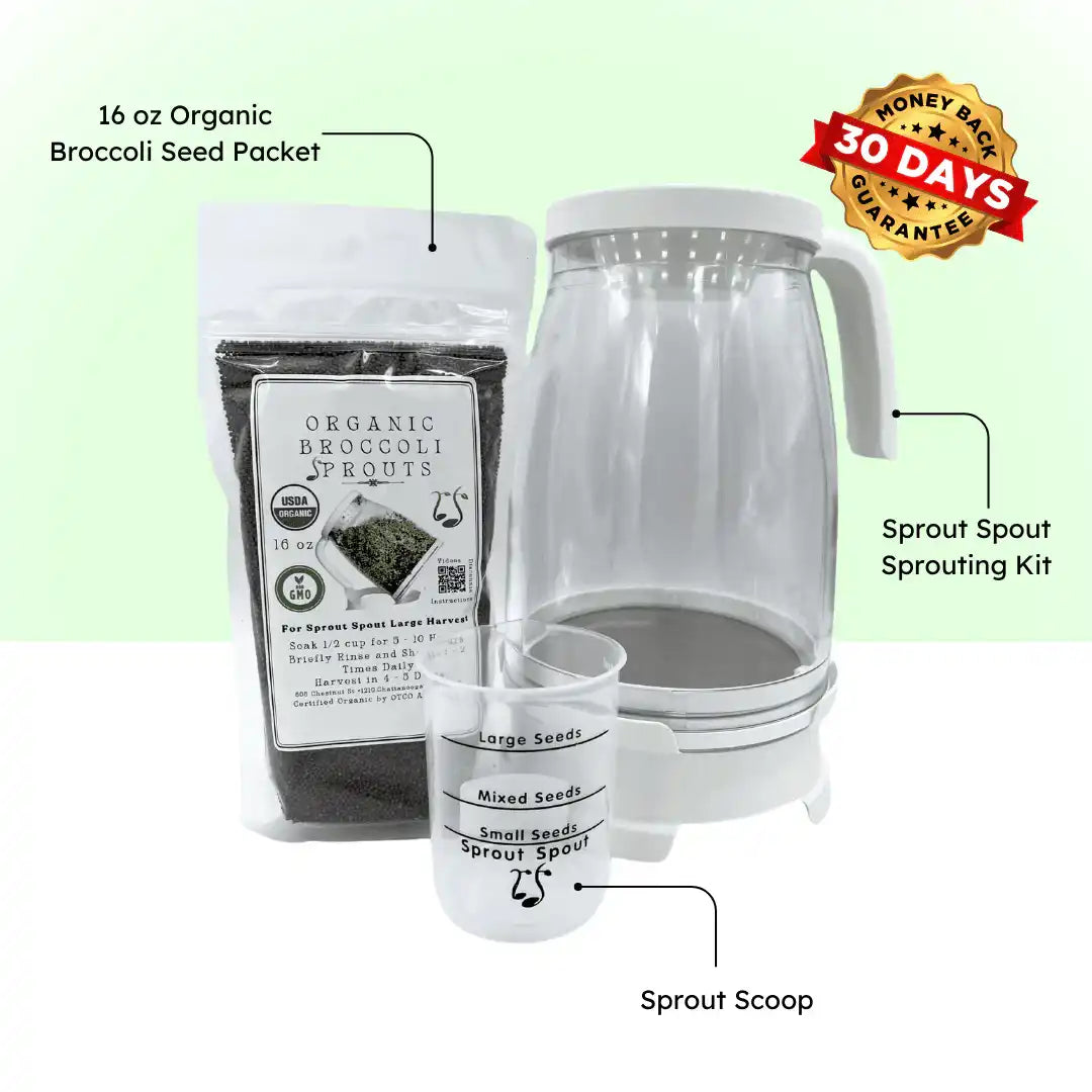 Kit de démarrage pour brocolis Sprout Spout : Sprout Spout + 113 g ou 454 g de graines + une cuillère à germer offerte