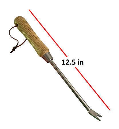 Stainless Steel Garden Dandelion Weeder (classic wood handle) - Tampa Home & Garden Store
