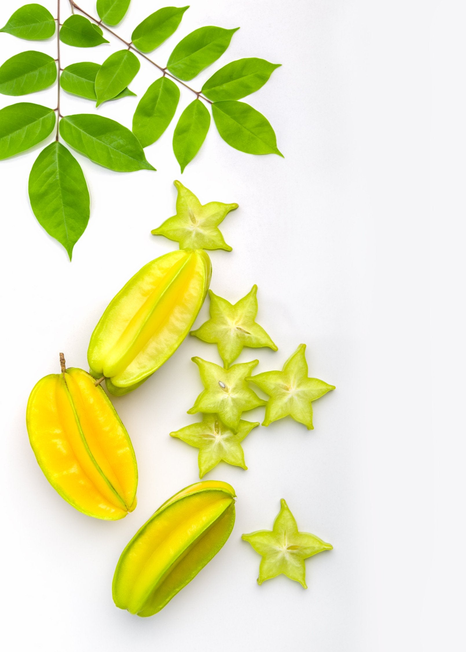 Star Fruit 'Kari' (Averrhoa carambola) - Tampa Home & Garden Store