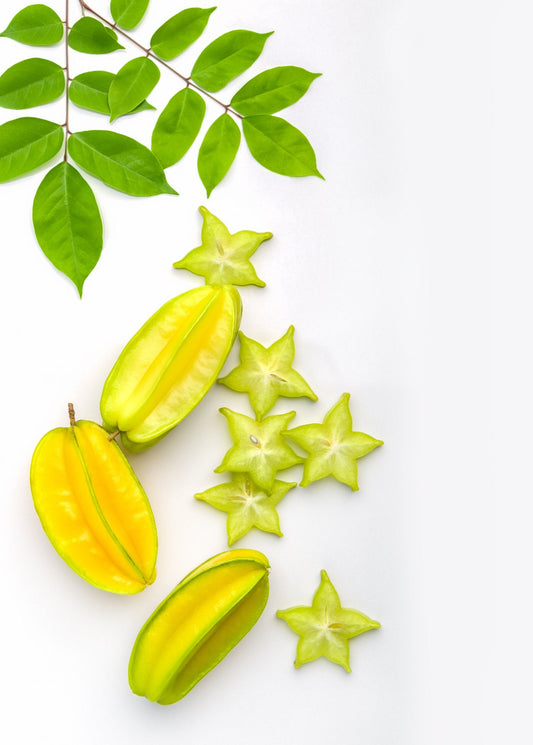 Star Fruit 'Kari' (Averrhoa carambola) - Tampa Home & Garden Store