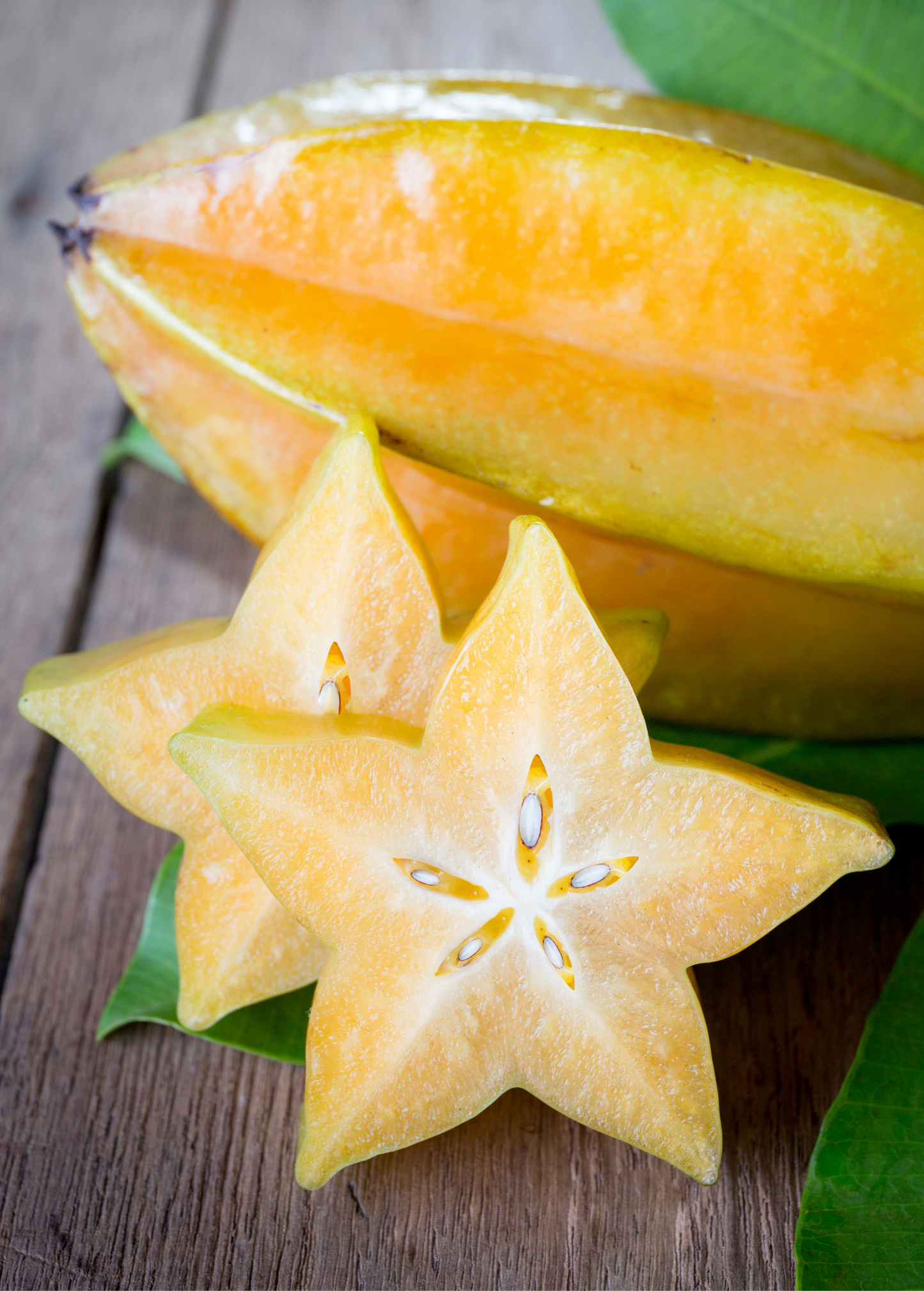 Star Fruit 'Arkin' (Averrhoa carambola) - Tampa Home & Garden Store
