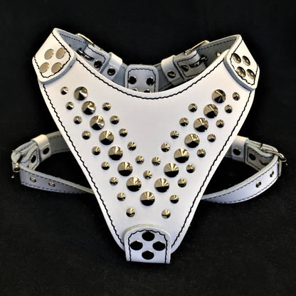 ''Star'' Harness Small to Medium size - Tampa Home & Garden Store
