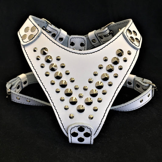 ''Star'' Harness Small to Medium size - Tampa Home & Garden Store