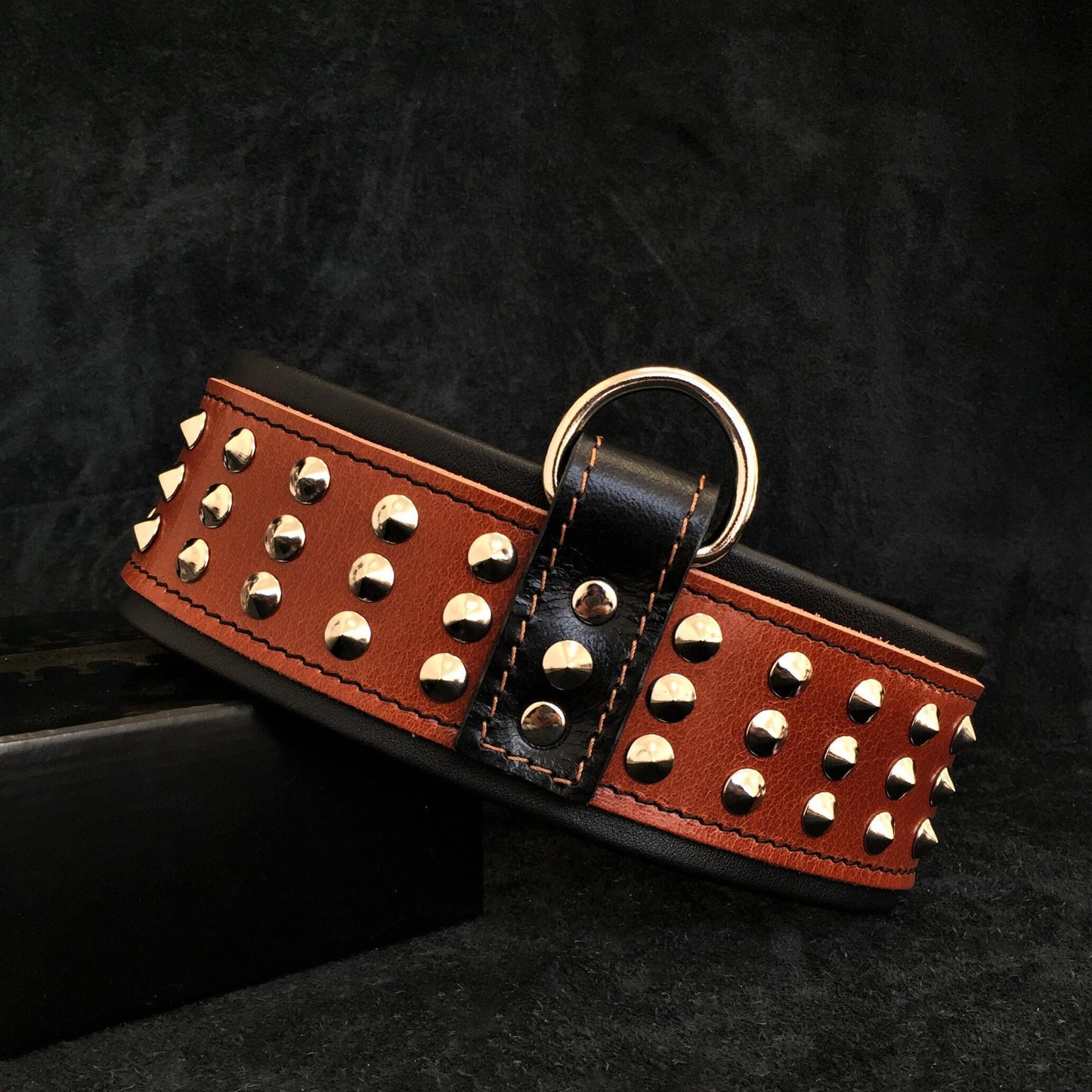 "Star" collar - Tampa Home & Garden Store